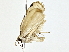  ( - BIOUG77723-H03)  @11 [ ] CreativeCommons - Attribution (2022) CBG Photography Group Centre for Biodiversity Genomics