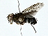 ( - BIOUG77724-E06)  @11 [ ] CreativeCommons - Attribution (2022) CBG Photography Group Centre for Biodiversity Genomics