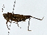  ( - BIOUG77724-F12)  @11 [ ] CreativeCommons - Attribution (2022) CBG Photography Group Centre for Biodiversity Genomics