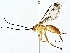  ( - BIOUG77741-F01)  @11 [ ] CreativeCommons - Attribution (2022) CBG Photography Group Centre for Biodiversity Genomics