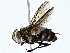  ( - BIOUG77741-F05)  @11 [ ] CreativeCommons - Attribution (2022) CBG Photography Group Centre for Biodiversity Genomics