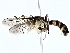  ( - BIOUG77741-F08)  @11 [ ] CreativeCommons - Attribution (2022) CBG Photography Group Centre for Biodiversity Genomics