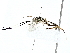  ( - BIOUG77743-A09)  @11 [ ] CreativeCommons - Attribution (2022) CBG Photography Group Centre for Biodiversity Genomics