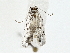  ( - BIOUG77743-G02)  @11 [ ] CreativeCommons - Attribution (2022) CBG Photography Group Centre for Biodiversity Genomics