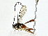  ( - BIOUG77743-H05)  @11 [ ] CreativeCommons - Attribution (2022) CBG Photography Group Centre for Biodiversity Genomics