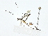  ( - BIOUG77743-H09)  @11 [ ] CreativeCommons - Attribution (2022) CBG Photography Group Centre for Biodiversity Genomics