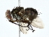  ( - BIOUG77744-A06)  @11 [ ] CreativeCommons - Attribution (2022) CBG Photography Group Centre for Biodiversity Genomics