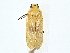  ( - BIOUG77744-B07)  @11 [ ] CreativeCommons - Attribution (2022) CBG Photography Group Centre for Biodiversity Genomics