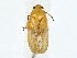  ( - BIOUG77744-G03)  @11 [ ] CreativeCommons - Attribution (2022) CBG Photography Group Centre for Biodiversity Genomics