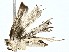  ( - BIOUG77762-A05)  @11 [ ] CreativeCommons - Attribution (2022) CBG Photography Group Centre for Biodiversity Genomics