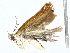  ( - BIOUG77762-A07)  @11 [ ] CreativeCommons - Attribution (2022) CBG Photography Group Centre for Biodiversity Genomics