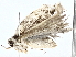  ( - BIOUG77762-D11)  @11 [ ] CreativeCommons - Attribution (2022) CBG Photography Group Centre for Biodiversity Genomics