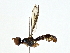  ( - BIOUG77763-B03)  @11 [ ] CreativeCommons - Attribution (2022) CBG Photography Group Centre for Biodiversity Genomics