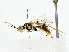 ( - BIOUG77763-D03)  @11 [ ] CreativeCommons - Attribution (2022) CBG Photography Group Centre for Biodiversity Genomics