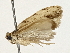  ( - BIOUG77763-E01)  @11 [ ] CreativeCommons - Attribution (2022) CBG Photography Group Centre for Biodiversity Genomics