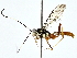  ( - BIOUG80101-A05)  @11 [ ] CreativeCommons - Attribution (2022) CBG Photography Group Centre for Biodiversity Genomics