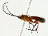  ( - BIOUG80102-D01)  @11 [ ] CreativeCommons - Attribution (2022) CBG Photography Group Centre for Biodiversity Genomics