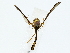  ( - BIOUG80102-E06)  @11 [ ] CreativeCommons - Attribution (2022) CBG Photography Group Centre for Biodiversity Genomics