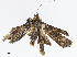  ( - CBG-A07059-G01)  @11 [ ] CreativeCommons - Attribution Share - Alike (2023) CBG Photography Group Centre for Biodiversity Genomics