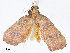  ( - CBG-A07059-G07)  @11 [ ] CreativeCommons - Attribution Share - Alike (2023) CBG Photography Group Centre for Biodiversity Genomics