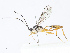  ( - CBG-A07060-D12)  @11 [ ] CreativeCommons - Attribution Share - Alike (2023) CBG Photography Group Centre for Biodiversity Genomics
