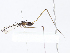 ( - CBG-A07060-E10)  @11 [ ] CreativeCommons - Attribution Share - Alike (2023) CBG Photography Group Centre for Biodiversity Genomics