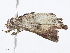  ( - CBG-A07060-F08)  @11 [ ] CreativeCommons - Attribution Share - Alike (2023) CBG Photography Group Centre for Biodiversity Genomics