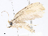  ( - CBG-A07060-F11)  @11 [ ] CreativeCommons - Attribution Share - Alike (2023) CBG Photography Group Centre for Biodiversity Genomics
