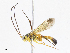  ( - CBG-A07061-A05)  @11 [ ] CreativeCommons - Attribution Share - Alike (2023) CBG Photography Group Centre for Biodiversity Genomics