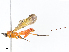  ( - CBG-A07075-B11)  @11 [ ] CreativeCommons - Attribution Share - Alike (2023) CBG Photography Group Centre for Biodiversity Genomics
