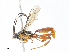  ( - CBG-A07075-C09)  @11 [ ] CreativeCommons - Attribution Share - Alike (2023) CBG Photography Group Centre for Biodiversity Genomics