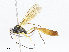  ( - CBG-A07076-A02)  @11 [ ] CreativeCommons - Attribution Share - Alike (2023) CBG Photography Group Centre for Biodiversity Genomics