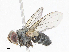  ( - CBG-A07076-D06)  @11 [ ] CreativeCommons - Attribution Share - Alike (2023) CBG Photography Group Centre for Biodiversity Genomics