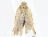  ( - CBG-A07076-F02)  @11 [ ] CreativeCommons - Attribution Share - Alike (2023) CBG Photography Group Centre for Biodiversity Genomics