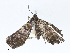  ( - CBG-A07076-F09)  @11 [ ] CreativeCommons - Attribution Share - Alike (2023) CBG Photography Group Centre for Biodiversity Genomics