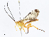  ( - CBG-A07077-D06)  @11 [ ] CreativeCommons - Attribution Share - Alike (2023) CBG Photography Group Centre for Biodiversity Genomics