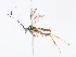  ( - CBG-A07082-F10)  @11 [ ] CreativeCommons - Attribution Share - Alike (2023) CBG Photography Group Centre for Biodiversity Genomics
