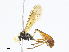  ( - CBG-A08743-A05)  @11 [ ] CreativeCommons - Attribution Share - Alike (2023) CBG Photography Group Centre for Biodiversity Genomics