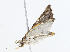  ( - CBG-A08743-C01)  @11 [ ] CreativeCommons - Attribution Share - Alike (2023) CBG Photography Group Centre for Biodiversity Genomics