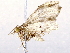  ( - BIOUG73024-B04)  @11 [ ] CreativeCommons - Attribution (2021) CBG Photography Group Centre for Biodiversity Genomics