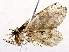  ( - BIOUG73024-B05)  @11 [ ] CreativeCommons - Attribution (2021) CBG Photography Group Centre for Biodiversity Genomics