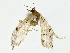  ( - BIOUG80716-H06)  @11 [ ] CreativeCommons - Attribution (2022) CBG Photography Group Centre for Biodiversity Genomics