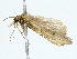  ( - BIOUG85462-A11)  @11 [ ] CreativeCommons - Attribution (2022) CBG Photography Group Centre for Biodiversity Genomics