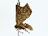  ( - BIOUG85462-B04)  @11 [ ] CreativeCommons - Attribution (2022) CBG Photography Group Centre for Biodiversity Genomics