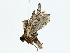  ( - BIOUG85462-E05)  @11 [ ] CreativeCommons - Attribution (2022) CBG Photography Group Centre for Biodiversity Genomics