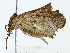  ( - BIOUG85251-C10)  @11 [ ] CreativeCommons - Attribution (2022) CBG Photography Group Centre for Biodiversity Genomics