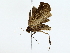  ( - BIOUG85251-G05)  @11 [ ] CreativeCommons - Attribution (2022) CBG Photography Group Centre for Biodiversity Genomics
