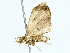  ( - BIOUG85464-B05)  @11 [ ] CreativeCommons - Attribution (2022) CBG Photography Group Centre for Biodiversity Genomics