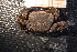  ( - R619-F12)  @13 [ ] Unspecified (default): All Rights Reserved  Unspecified Unspecified