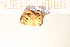  ( - R649-B10)  @13 [ ] Unspecified (default): All Rights Reserved  Unspecified Unspecified